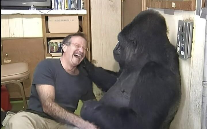 Koko Tickles Penny’s Foot